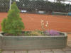 Tennis_506.JPG (170314 Byte)